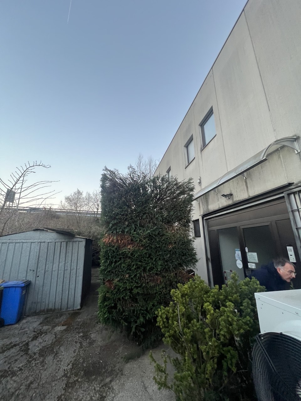 Lo stesso lavoro dopo l'intervento di Ultimo Giardiniere