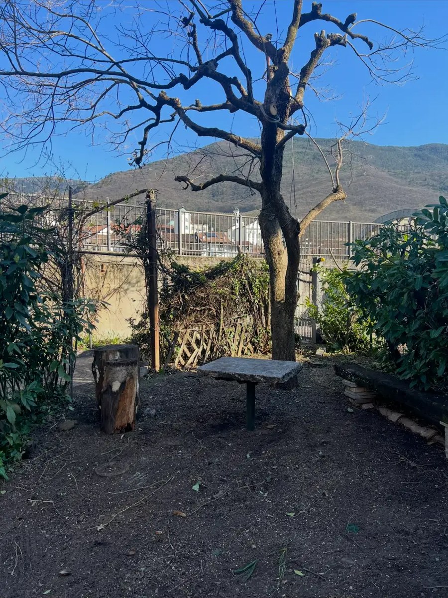 Angolo di giardino alleggerito e rimesso in ordine