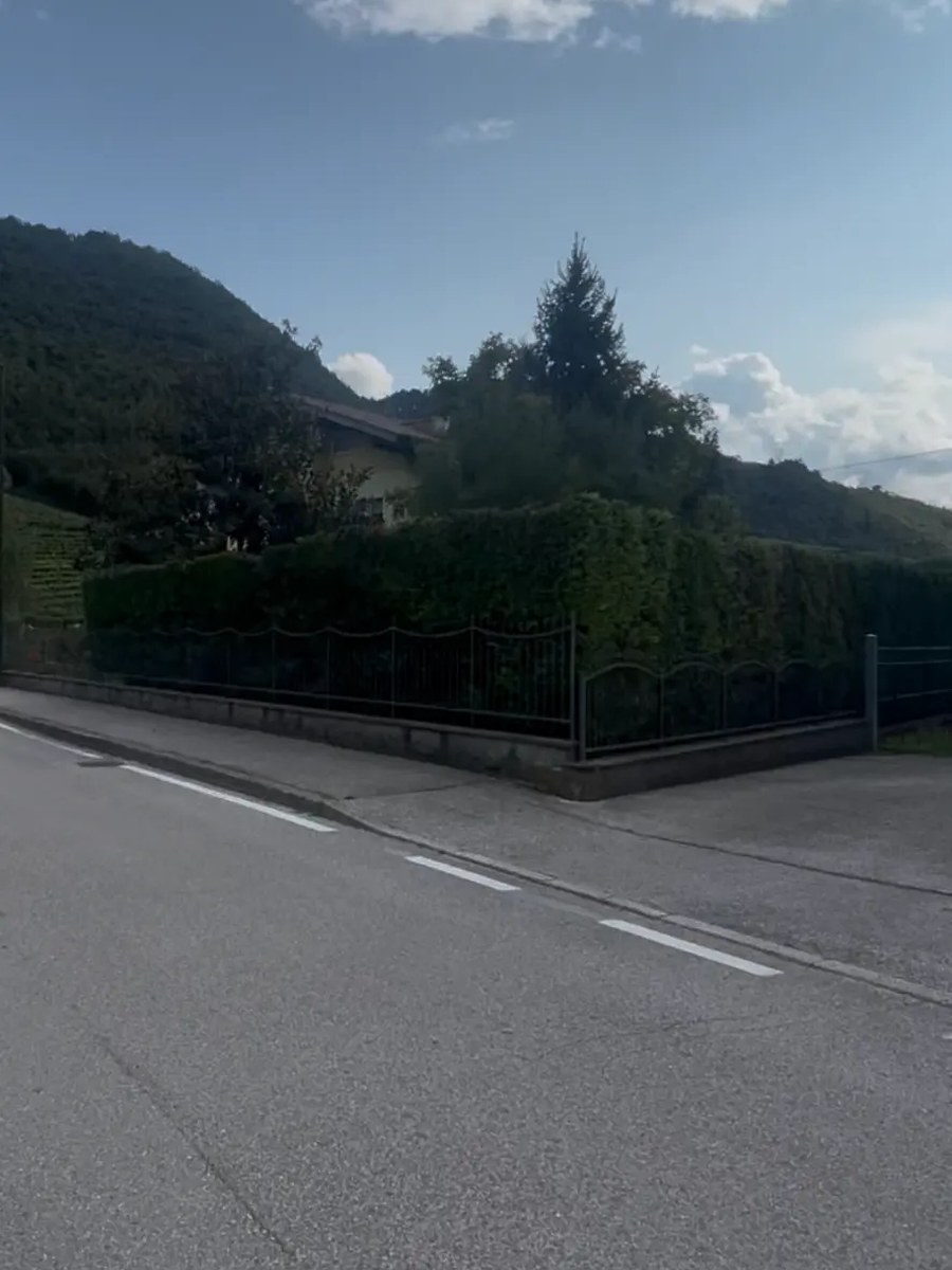 Lo stesso lavoro dopo l'intervento di Ultimo Giardiniere